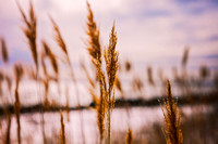 Beach and Ocean Photo Print by Marisa Balletti-Lavoie