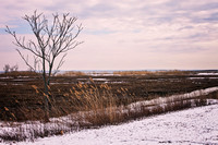 Beach and Ocean Photo Print by Marisa Balletti-Lavoie