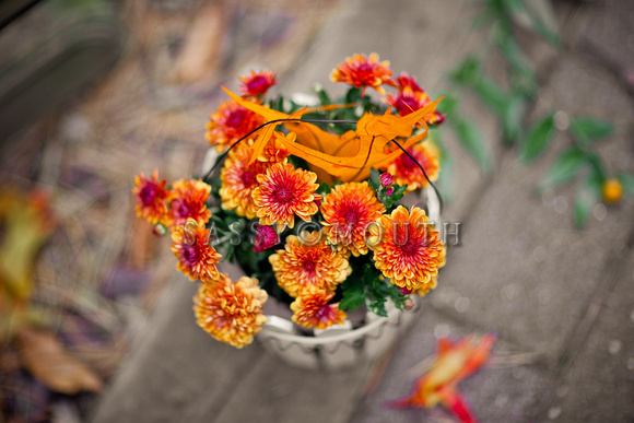 Autumn Mums Photo Print by Marisa Balletti-Lavoie