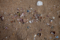 Beach and Ocean Photo Print by Marisa Balletti-Lavoie