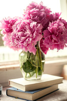 Peonies Photo Print by Marisa Balletti-Lavoie