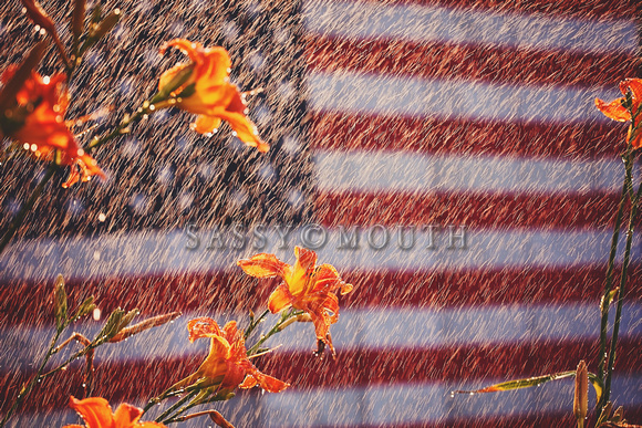 Tigerlilies Day Lillies Photo Print by Marisa Balletti-Lavoie