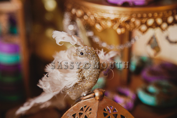 Jasmine Sassy Mouth Princess Bride Photo Shoot - by Marisa Balletti-Lavoie