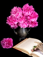 Peonies Photo Print by Marisa Balletti-Lavoie