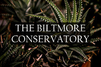 The Biltmore Conservatory Photographic Art Prints by Marisa Balletti-Lavoie