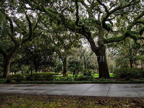 Savannah Photographic Art Prints by Marisa Balletti-Lavoie