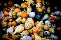 Autumn Gourds Photo Print by Marisa Balletti-Lavoie