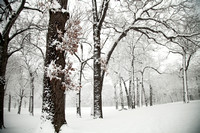 Winter Photo Print by Marisa Balletti-Lavoie