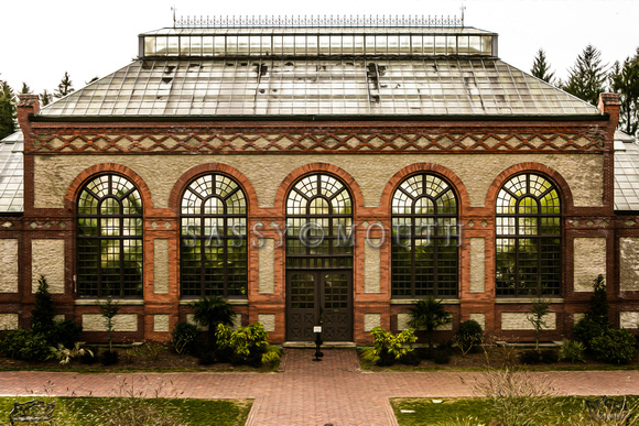 The Biltmore Conservatory Flowers Photo Print by Marisa Balletti-Lavoie